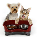 Dog bowl cat pet double basin splash-proof neat