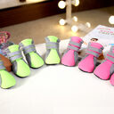 Teddy Dog Shoes Waterproof