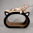 cat head scratch board