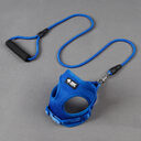 Dog leash collar