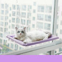 Cat Hammock Suction Cup Wall Mounted Window