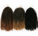 African wig short curly hair