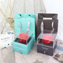Eternal flower gift box Earring Necklace Pendant couple