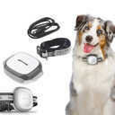 Collared Cat Dog Tracker Pet Locator