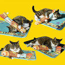 Cat grass pet toy