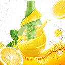 Lemon Juice Sprayer Manual Orange Citrus Spray
