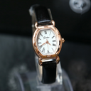New Ladies Watch small Quartz Bracelet belt exquisite
