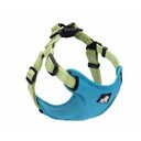 Dog leash collar walking