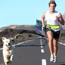 Hands-Free Dog Running Leash with Waist Pocket Adjustable