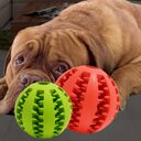 Pet Dog Toy Bite Resistant Molar Stick Puppy