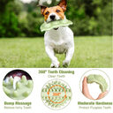 New Pet Toy Chew Teeth Stick Dog Ball