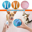 Wireless Smart Remote Control Pet Toy with LED