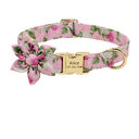 Fashion Printed Dog Collar Personalized Nylon Pet Puppy