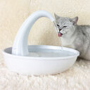 Pet Drinking Fountain Cat Feeding Water Flowing