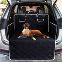 Car Pet Mat Trunk Dog