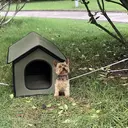 Pet House Outdoor Waterproof Weatherproof Dog Kennel Cat