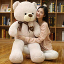 Plush Teddy Bear Doll Ragdoll