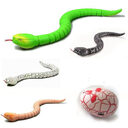 New Exotic Toys