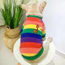 Rainbow Pet Clothing Plus Velvet Thickening