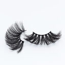 Thick and Long Lashes in a Variety
