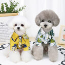 Pet Clothes Dog Summer Thin