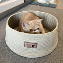 Cat Litter Small Dog Kennel Round Bed