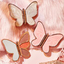 6 Colors Eyeshadow Palette Butterfly Eye Shadow Lucky