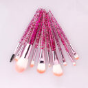 10 Makeup Brushes Powder-Filled Handle Brush Set