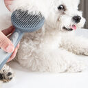 Pet Slicker Grooming Brush Comb For Cats Small