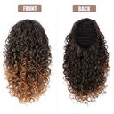 Wig Ponytail Female African Small Curls