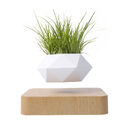 Magnetic Levitation Potted Plant Creative Gift Furniture Decoration