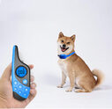 Rechargeable Remote Control Dog Training Device Pet Supplies