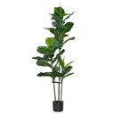 Simulation Plant Qin Yerong Living Room Decoration