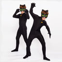 Hot Carnival Clothing Cat Noir Cosplay Sets Lady