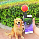 Pet photo props toy selfie artifact funny dog
