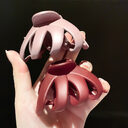 Hair Clip Female