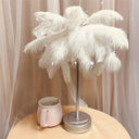Remote Control Feather Table Lamp USB Battery Power