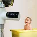 Electronic Faucet