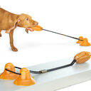 Multifunction Double Tug Rope Balls Sucker Toy Dog