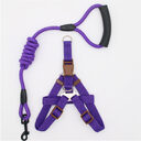 Pet Supplies Simple Dog Leash