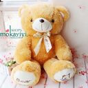 Plush Teddy Bear Hug Doll