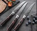 Color Wooden Handle Steak Knife Stainless Steel Western