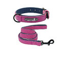 Dog Collar Lettering Anti-Lost Medium Large Small Pet