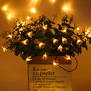 LED Outdoor Solar Lamp String Lights Fairy Holiday