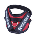 Personalize Dog Harness Name