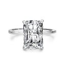 s925 Sterling Silver Light Luxury Exaggerated European