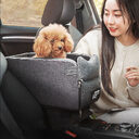 Car Pet Mat