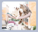 Cat Hammock Bask In The Sun Hanging