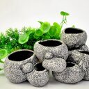 Ceramic Simulation Stone Hydroponic Pots Multifunctional Cichlid Hide
