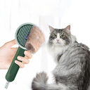 Hoopet 2-In-1 Durable Functional Pet Comb Detector UVC